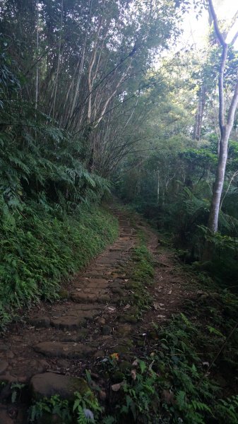 打鐵寮 草嶺山 石龜坑山 白石山連走1265219