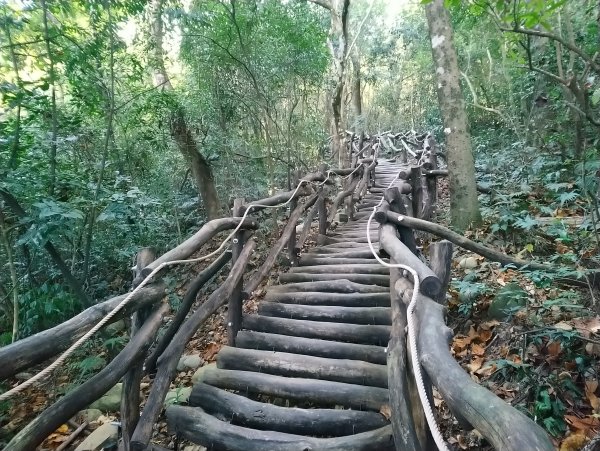 大坑步道全包一起登( 2 3維修)747626