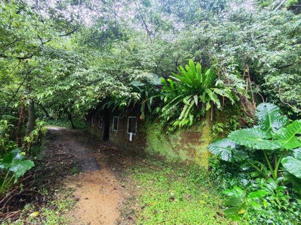 天上山雨中漫步2643228