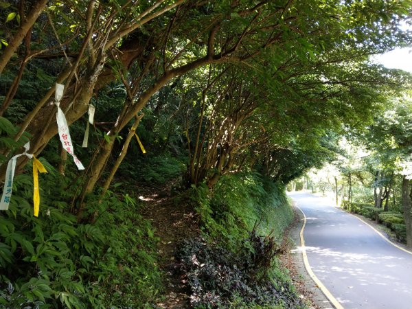 指南宮步道1453930