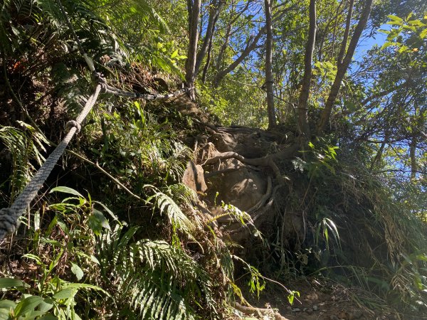 2025微笑山線大縱走尋寶集章任務-Ep.10【五分山系】菁桐煤礦段｜石筍尖 ×2914474