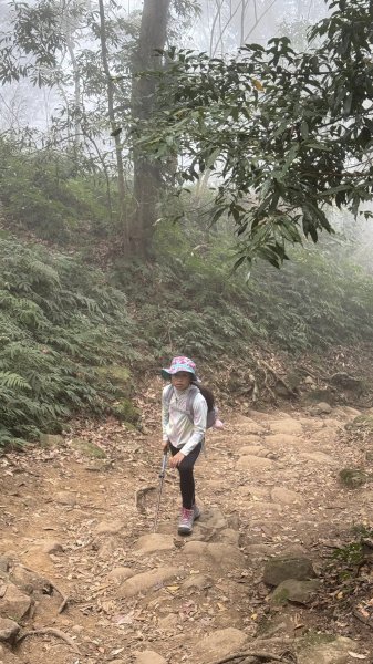 20260101小百岳馬那邦山賞楓團2973945