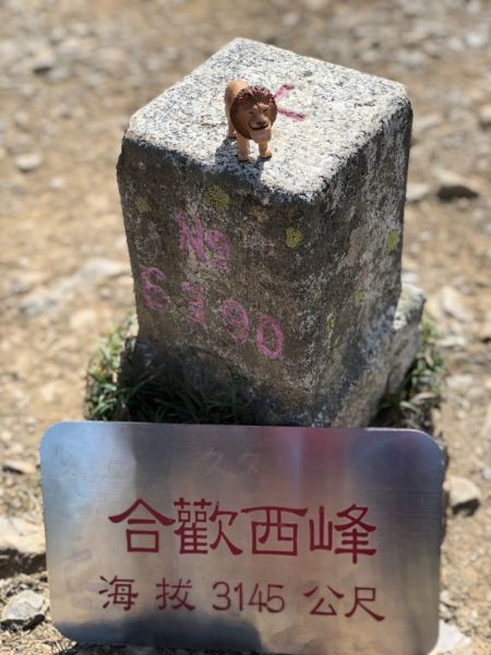 2018/08/12 合歡西峰386927