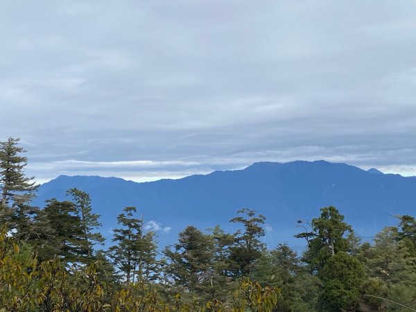 1131215大塔山步道2669234