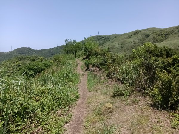 雙溪區不厭亭+牡丹山+樹梅坪+鷹石岩山神廟+不厭亭+奉憲示禁碑+三貂崙+不厭亭8字走2766324