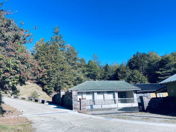 20241230 大雪山神木步道2745395