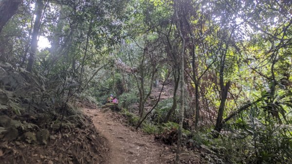 馬那邦山步道(珠湖登山口上)1585909