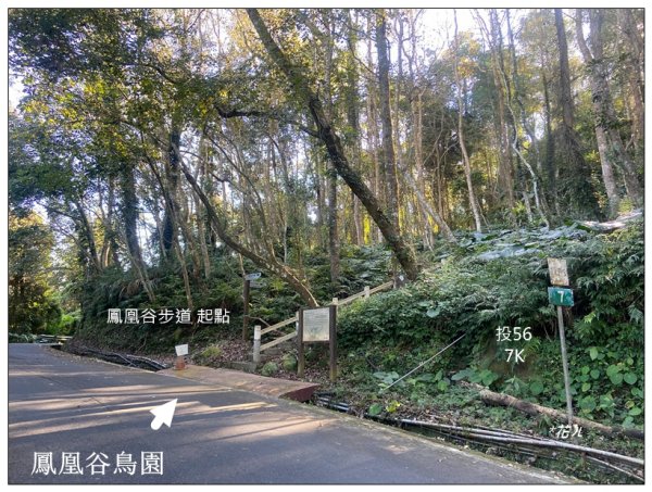 鳳凰谷步道(鹿谷鄉)2690437