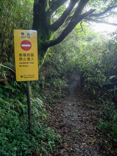 【行腳陽明山】初夏裡蒼翠欲滴的環七星山與百拉卡公路人車分道2188681