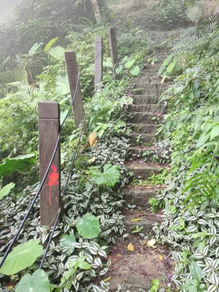 崁頭山步道1007150