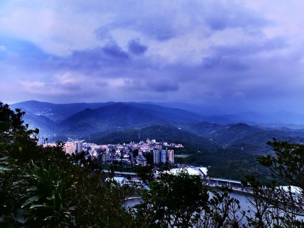 白鷺鷥山與大湖公園落羽松步道235863