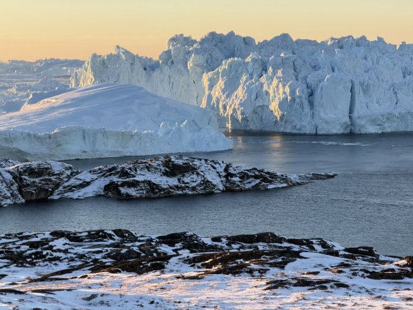 [紐約馬之行-42] 2025_1107 黃線步道-後2950713