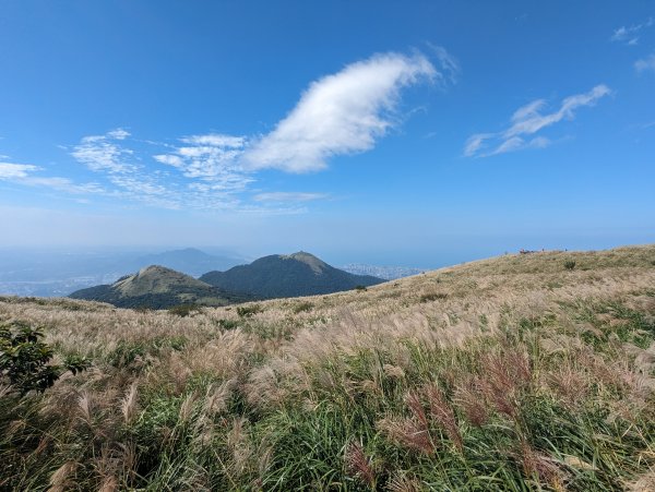 秋天賞芒行@大屯山連峰步道2318202