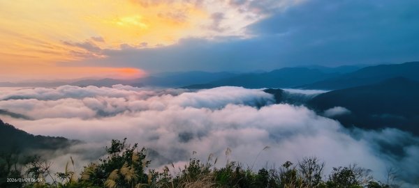 #翡翠水庫壩頂 #雲海 #日出 #陽明公園 #夕陽1/92979338