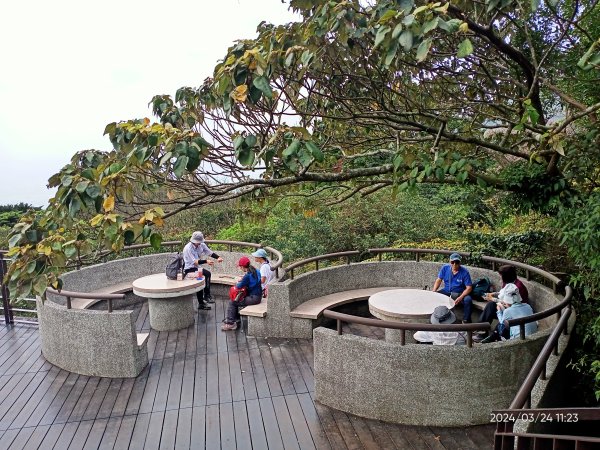 【發現陽明山】頂北投→陽峰古道→陽明山花鐘→陽明書屋→紫明溪步道→竹子湖海芋季2463815