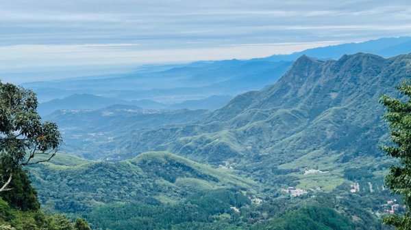 1101125留龍頭-嶺頭山-杉林溪1528683