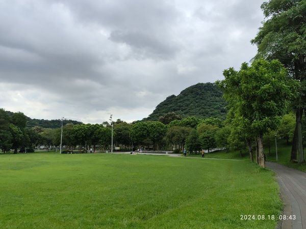 大湖公園→大溝溪生態治水園區→葉姓祖廟→新福本坑→碧湖步道→碧湖公園→宏匯瑞光廣場【臺北大縱走4】2580008