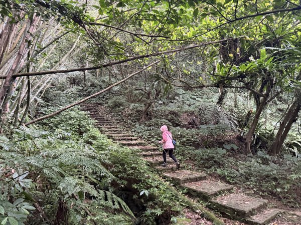 土庫岳-202503172770511