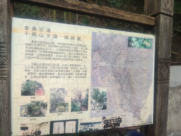 象鼻古道2656957