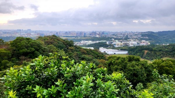 內湖金面山，論劍山，鶯歌蛋山，忠義山，長壽步道，桃園虎頭山公園1976948