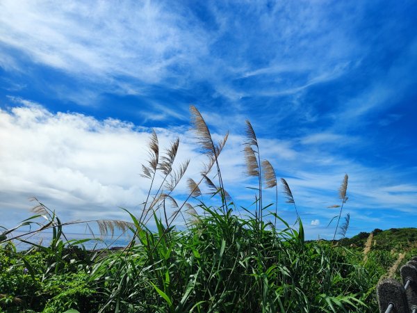 福隆舊草嶺環狀線單車行2818092