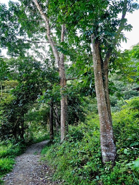 尾寮山-小百岳#73-屏東縣三地門鄉2931095