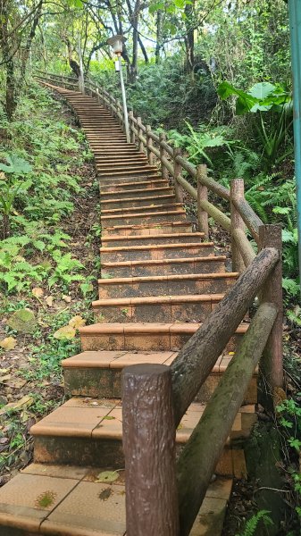 2025-0204 鶯歌_大凍山_三角埔頂山_迴龍2707987