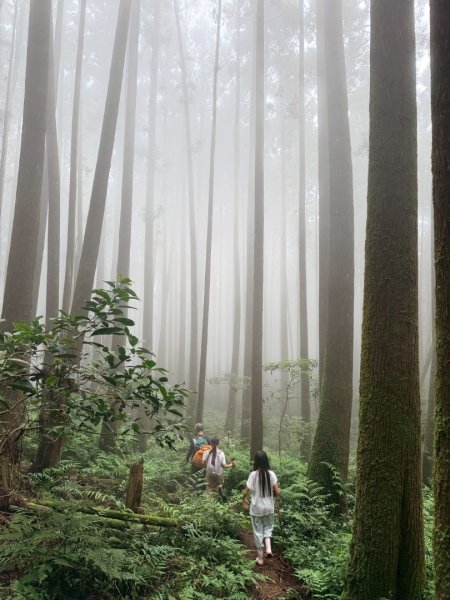 115/7/4-加里山前山隘勇線到騰龍山大石壁P型(含分遣所巡禮）3081953