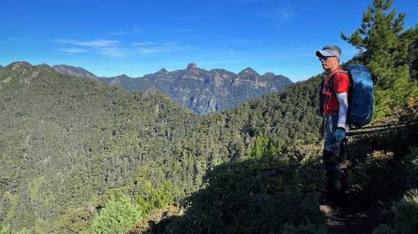 穿梭叢林桃山瞻仰巨木的殿堂桃山神木之行1656672