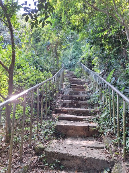 田中森林登山步道＋茶香步道＋赤水崎公園步道202508172862078