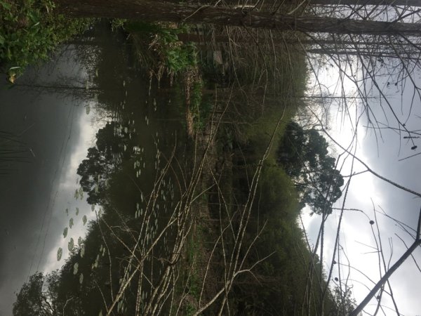 四十二份湧泉2723148