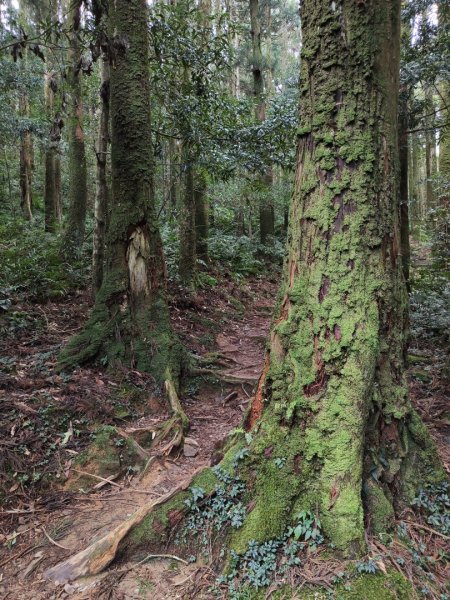 2023.12.27 東眼山2838862