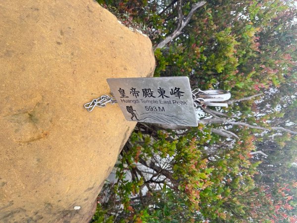 皇帝殿202603293035853