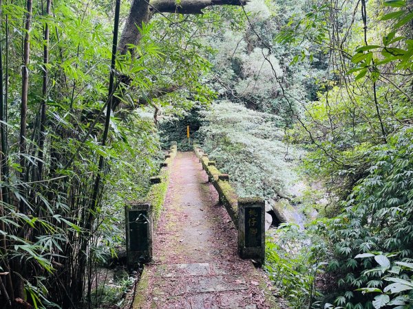 1140926坪頂古圳親山步道2895479