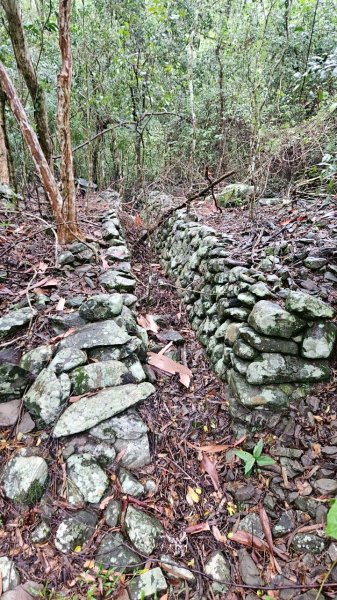 20250413浸水營古道2760343