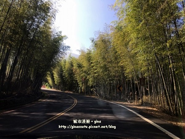 南投鹿谷~聽風~雲起~大崙山觀光茶園步道964984