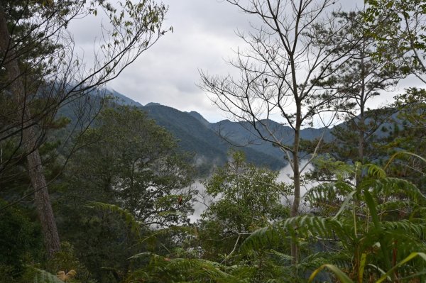 谷關七雄-唐麻丹山2888718