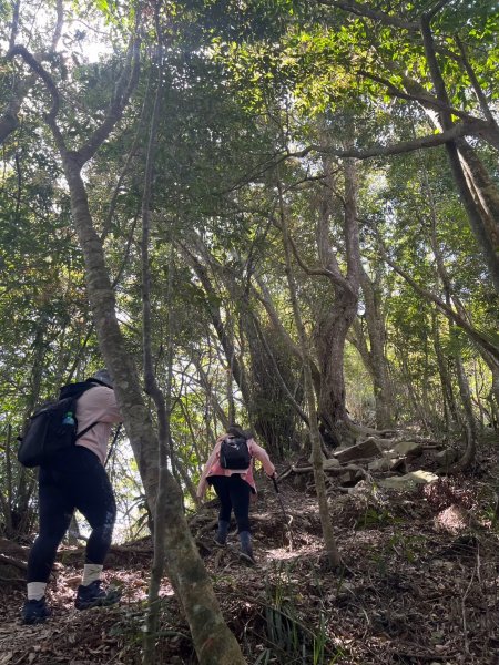 2025/3/22白毛山2823677