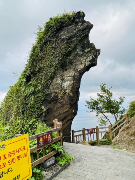 1140812 Jeju 城山日出峰。牛島2860822