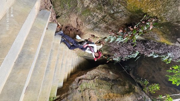 圓通寺烘爐地登山步道大O走3007064