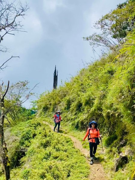 塔塔加黑森林2668033