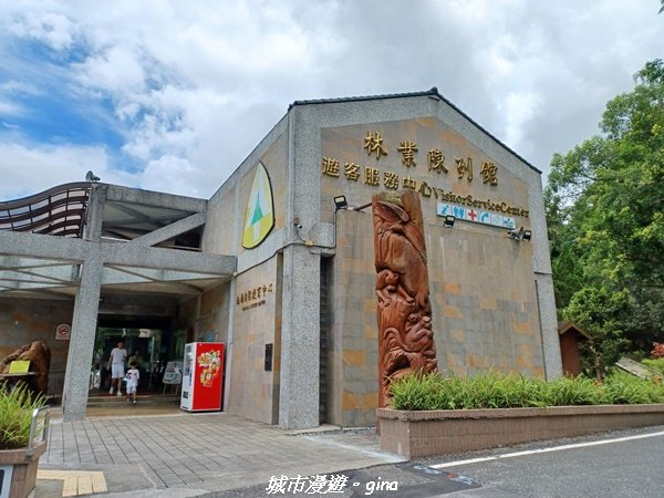 【花蓮壽豐】秀麗山景。 池南國家森林遊樂區森林浴步道2266000