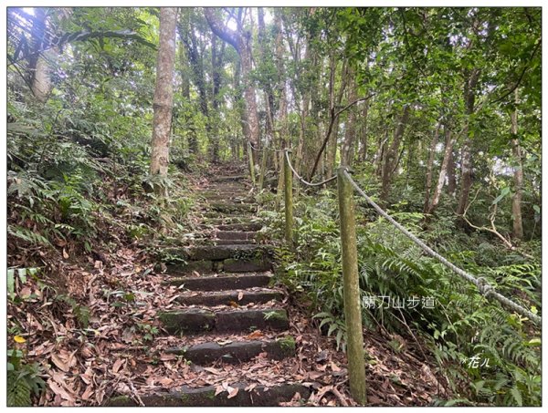 關刀山 (南入口)、關刀山西北峰 連走2804119