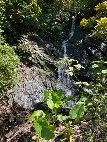 戶亞宇山基點峰-戶亞宇山主峰 2025.6.152815039