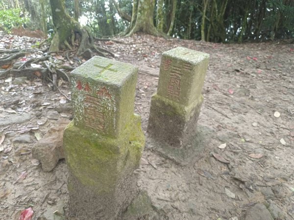 20230902台中和平隘勇求安線白毛山東北峰、白毛山、白毛山西南峰、臭頭山、白毛山北峰、沙蓮山西南2269959