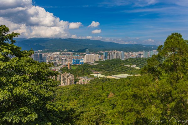 [台北]虎山親山步道、九五峰、南港山2911315