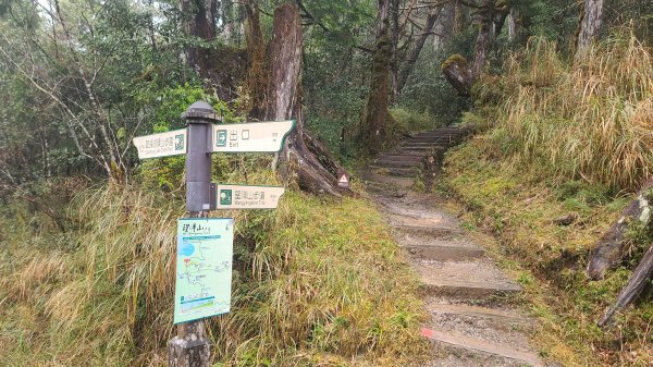 2025-0222 翠峰湖環山步道2718623