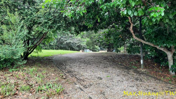 《台中》雙園連走｜東大公園連走都會公園202310072305971