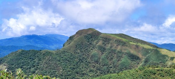 大里上埡口-桃源谷-灣坑頭山2561395