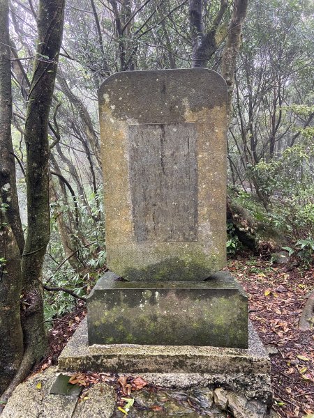 尋覓雨霧中的獅子|獅仔頭山|Mt.Shizaitou|隘勇線|峯花雪月2384998